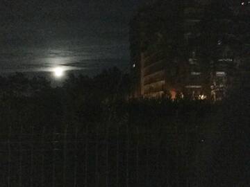 Фото номера Апартаменты с видом на море Апартаменты Apartament 75,143 Porta Mare г. Дзивнувек 15